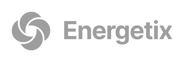 Logo Icon