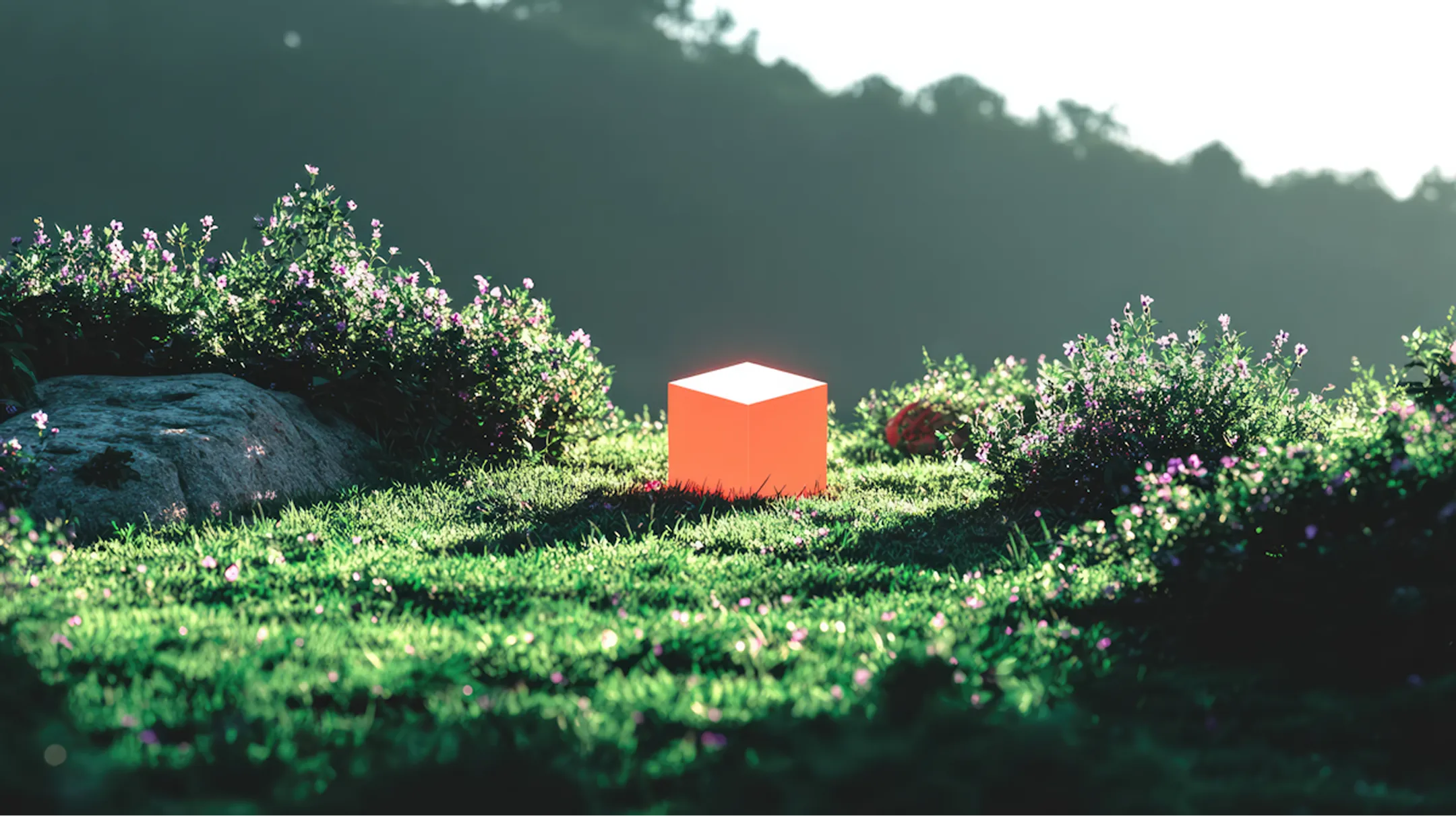 Featured Stories Image