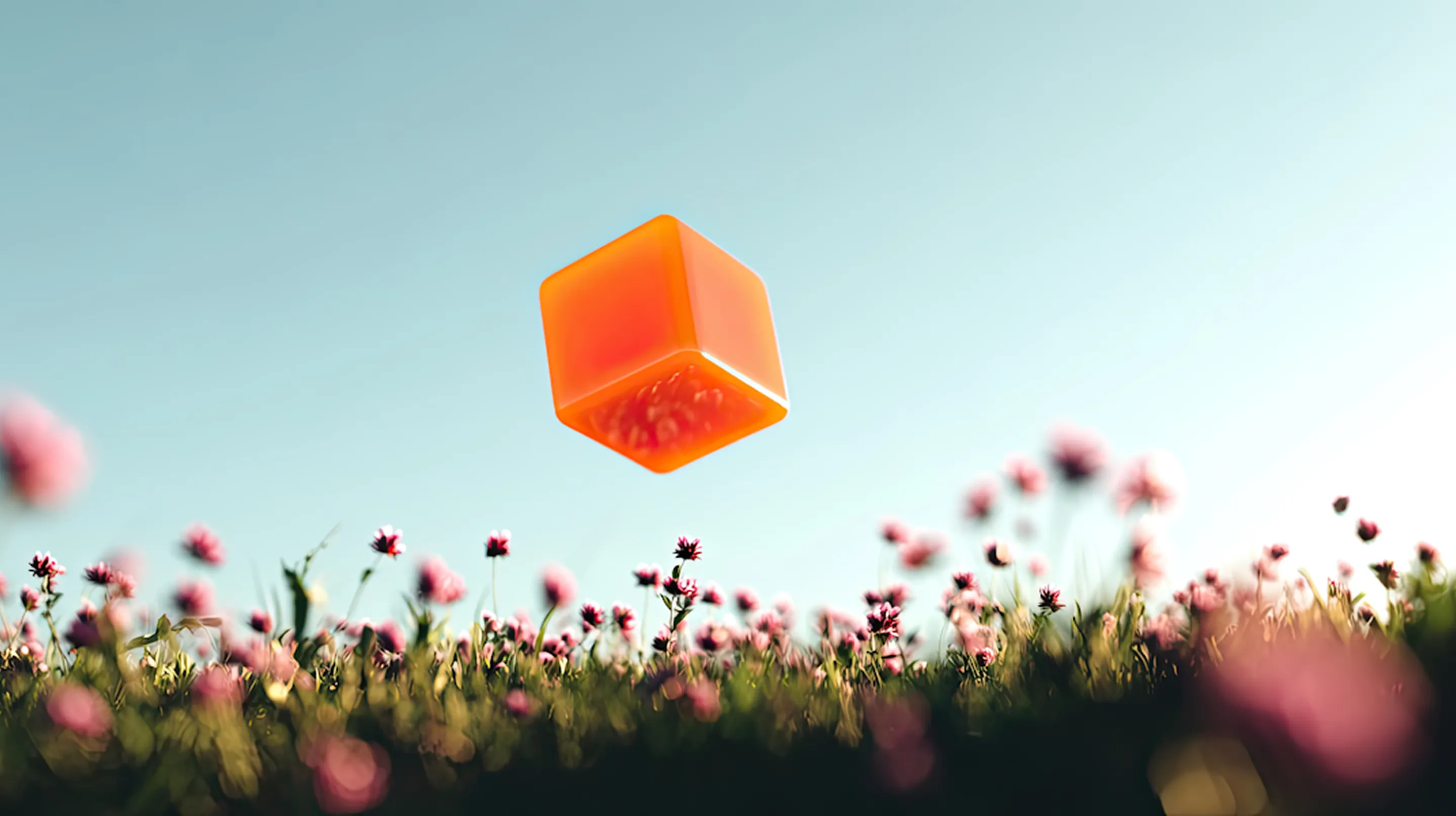 Featured Stories Image